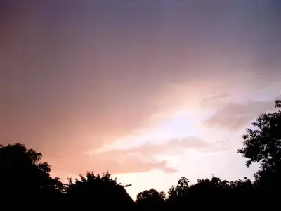 SIMG0385 (Small).webp