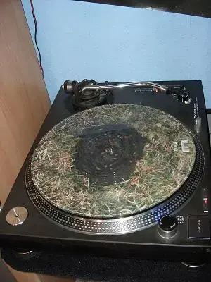 outkast b seite.webp