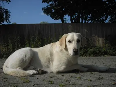 CIMG0303 [800x600].webp