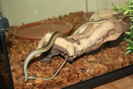 IMG_1288 (Medium).webp