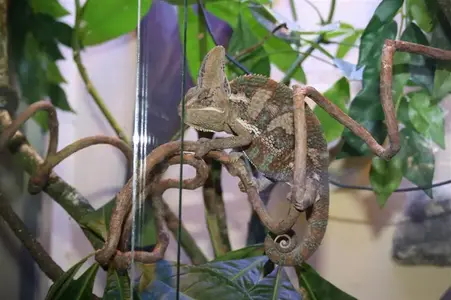 IMG_1298 (Medium).webp