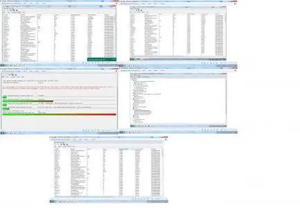 Traktor Support.webp