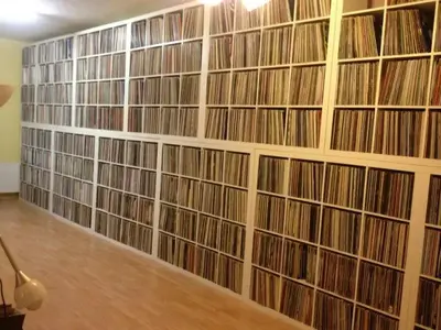 525582_372818102750824_17637396_n.webp (Vinyl)