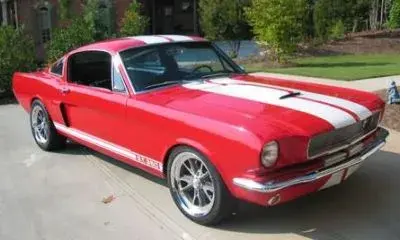 normal_shelby mustang.webp (Open Floor)