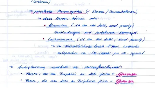 meine Schrift.webp (Open Floor)