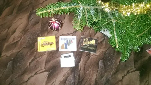 IMAG0451.webp (Open Floor)