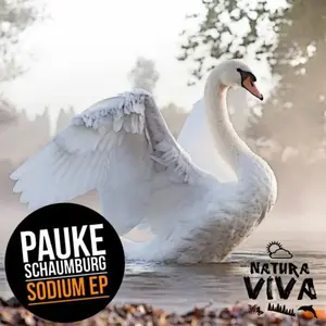 10842004_316490985222957_8443792328599726056_o.webp (New Releases)