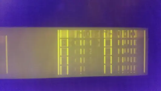 IMAG0814.webp (Software)