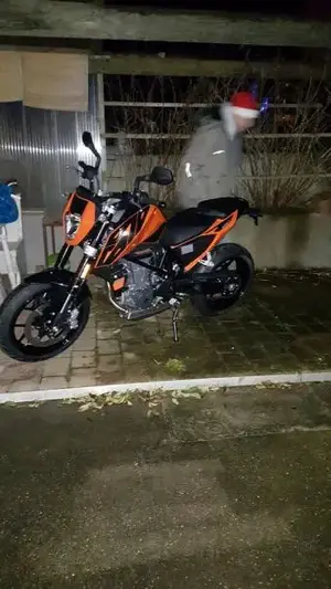 Duke.webp (Open Floor)