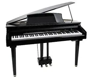 CCGP300-300x266.webp (Open Floor)