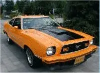 mustang.webp