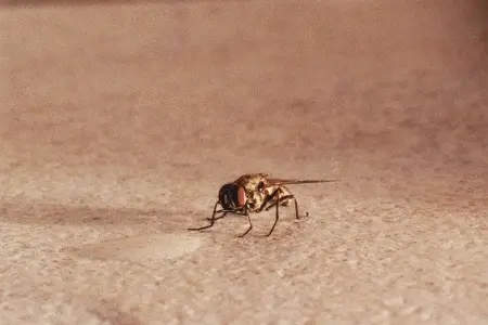 020_22A.webp (Open Floor)