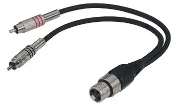 301219_LB_00_FB.EPS.webp (Newbie-Ressort)