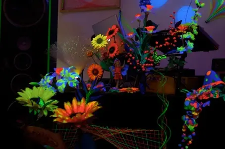 DSC_0007 - Arbeitskopie 2.webp