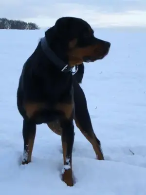 Bild 22.webp (Open Floor)