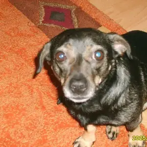 Ist Sie nicht süß?