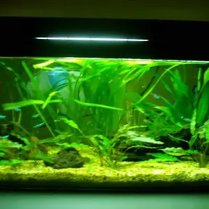 AQ-Testfototest-test