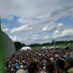 Greenfields 2009