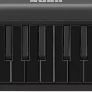 Korg-MicroKEY-25-10th-Anniversary-All-Black.jpg