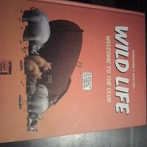 IMG_20121229_000917 (2) klein.jpg