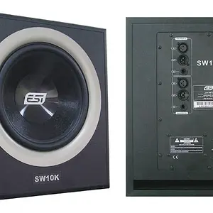 esi_sw10k.jpg