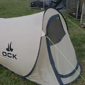 Antaris-project 2011