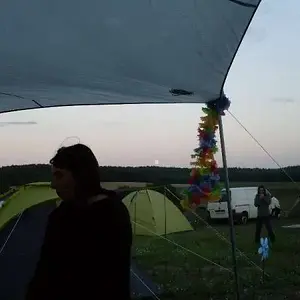 Antaris-project 2011