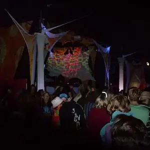 Antaris-project 2011