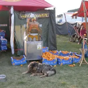 Antaris-project 2011