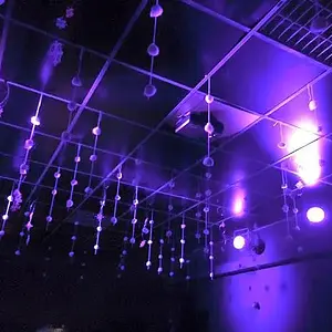 Eisblumen Beatzarr 19-12-2015 mit twin2k