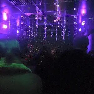 Eisblumen Beatzarr 19-12-2015 mit twin2k