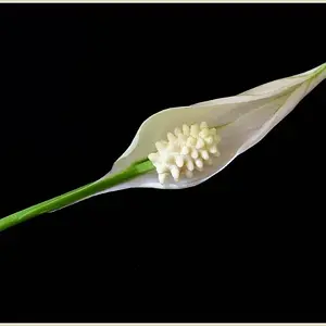 Ohne Titel-1 Kopie.jpg