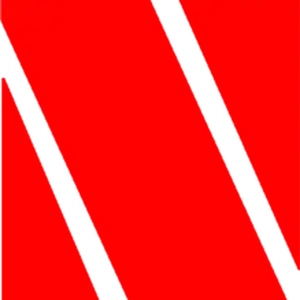 nelson_logo.png
