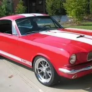 normal_shelby mustang.jpg