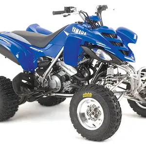 yamaha_raptor_mx_lg.jpg
