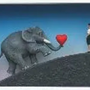 ich bin eine elefantmadame.jpg