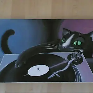 djcat.jpg