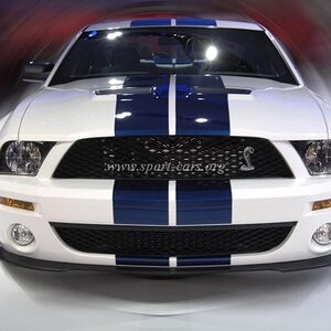 ford-shelby-gt500-11.jpg