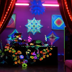 DSC_0006 - Arbeitskopie 2 (1).jpg