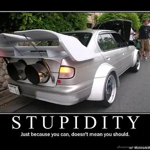 stupid.jpg