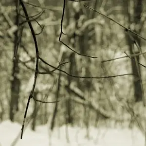 Geäst Grünlich Klein.jpg