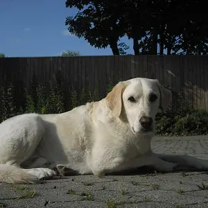 CIMG0303 [800x600].JPG