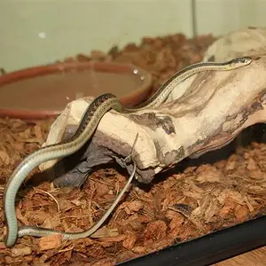 IMG_1288 (Medium).JPG