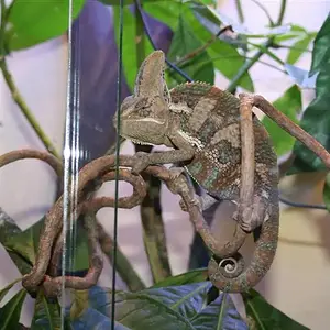 IMG_1298 (Medium).JPG