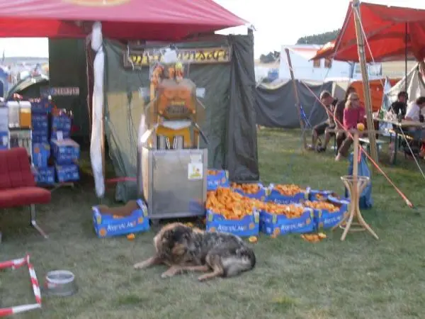 Antaris-project 2011