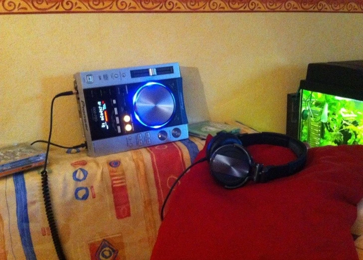 cdj 005.jpg
