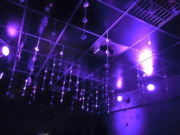 Eisblumen Beatzarr 19-12-2015 mit twin2k