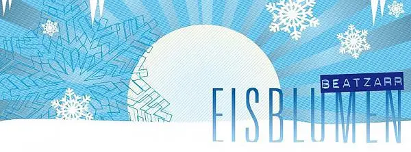 Eisblumen Beatzarr 19-12-2015 mit twin2k