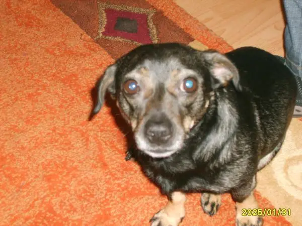 Ist Sie nicht süß?