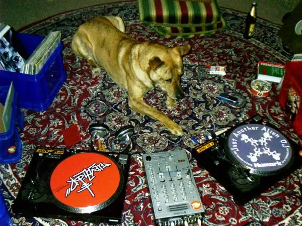 Mein Kleiner Beim Drehn